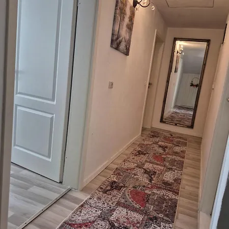 Georgi * فريلاسنغ