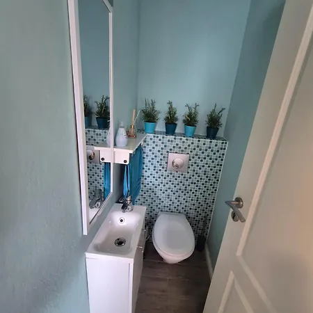 Georgi فريلاسنغ