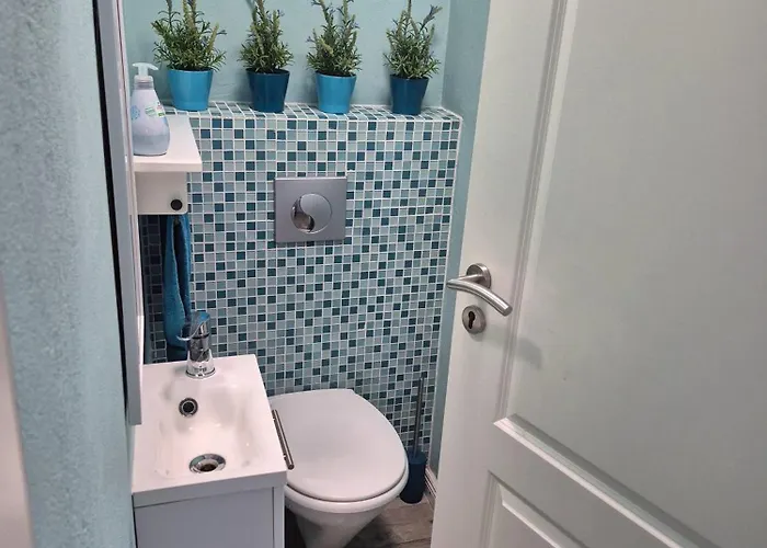 Georgi Tatil Evi Freilassing