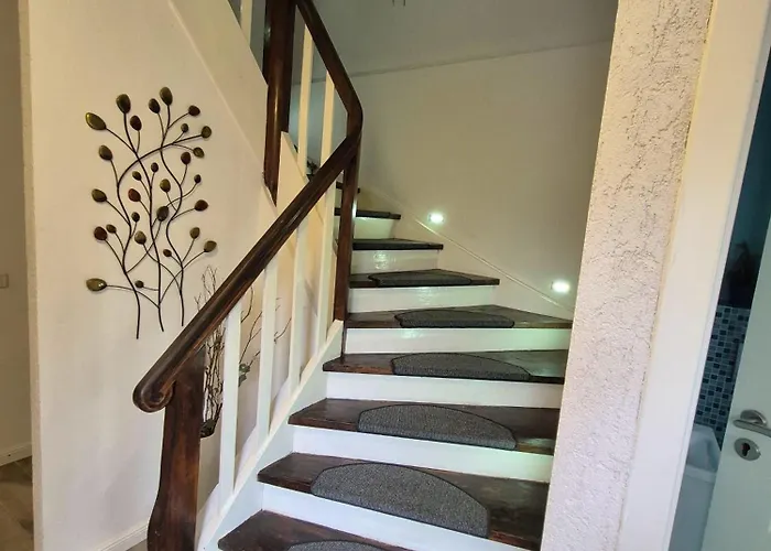 Georgi Tatil Evi Freilassing